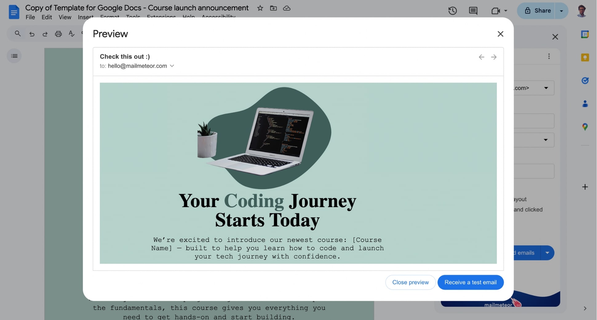 Preview your newsletter before sending